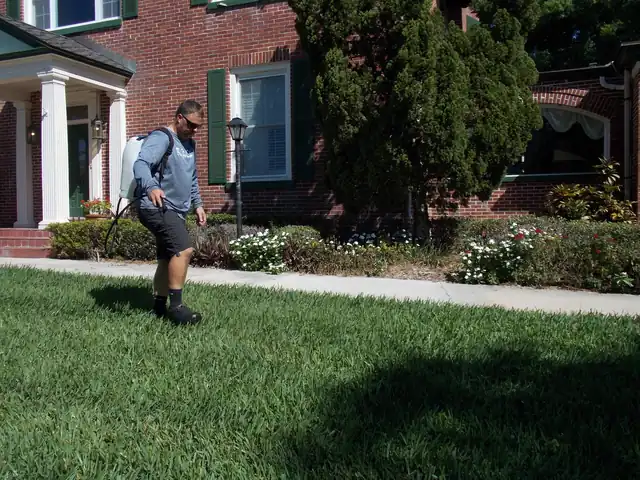 Technician in a company shirt spraying the shrub line of a brick colonial home